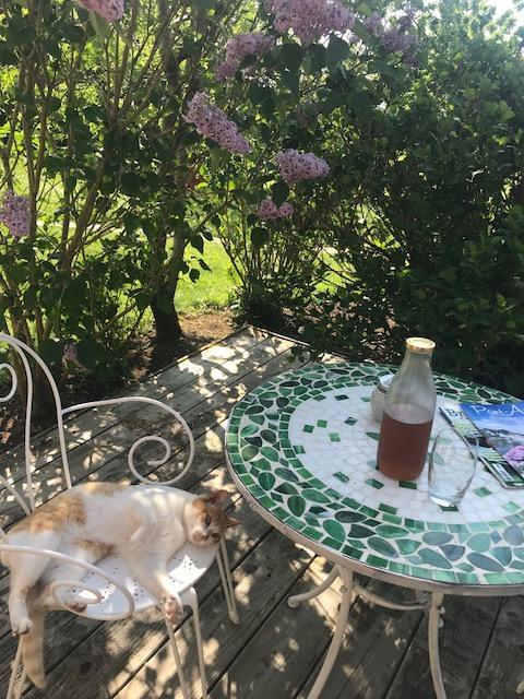 Bed And Breakfast La Fontaine Blanche Melgven 외부 사진